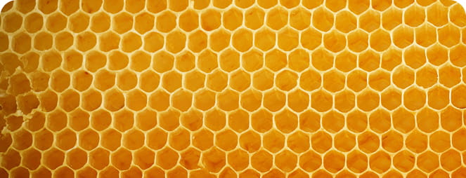 Ingredients image