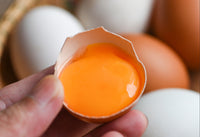 <span>Clinically </span> Studied Ingredients